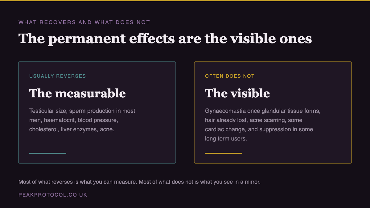 Comparison of steroid side effects showing measurable effects like haematocrit and cholesterol usually reverse while visible effects like gynaecomastia and hair loss often do not