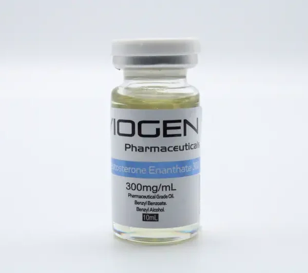 Viogen Testosterone Enanthate 300mg