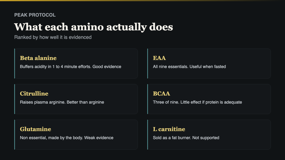 how aone bcaa aminos works, the mechanism behind it explained simply