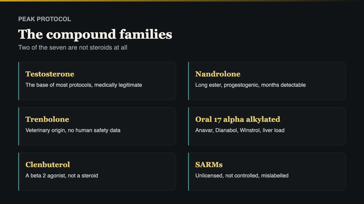 anabolic steroids UK, the main compound families and how each one differs