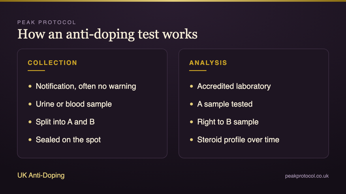 Anti-doping test process from notification and sample collection to A and B samples and laboratory analysis