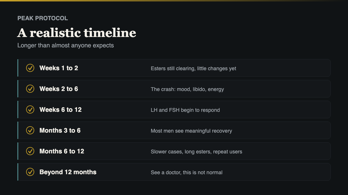the realistic timeline for coming off steroids, week by week