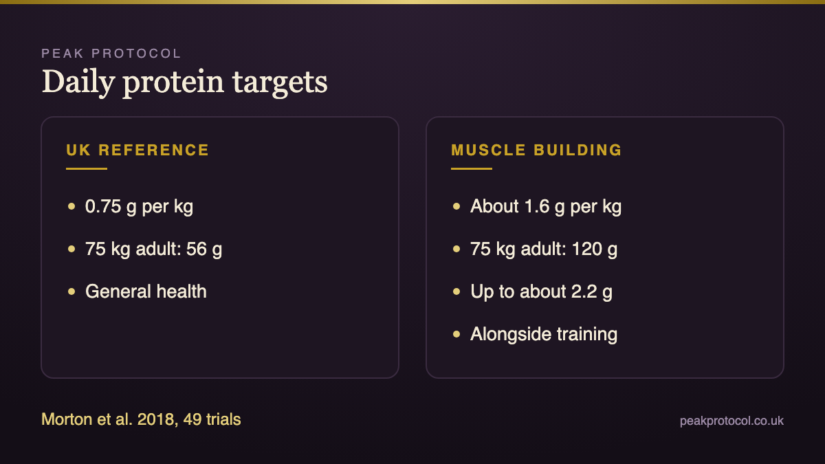 Protein intake targets per kilogram of body weight comparing the UK reference intake with a muscle building target