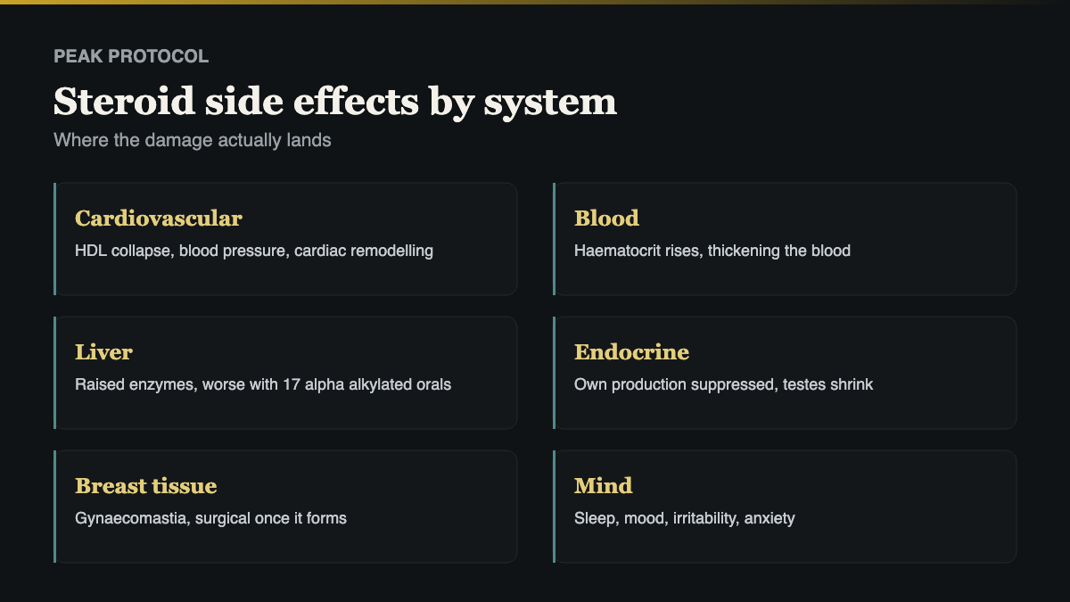 steroid side effects by organ system, from lipids and liver to heart, mood and fertility