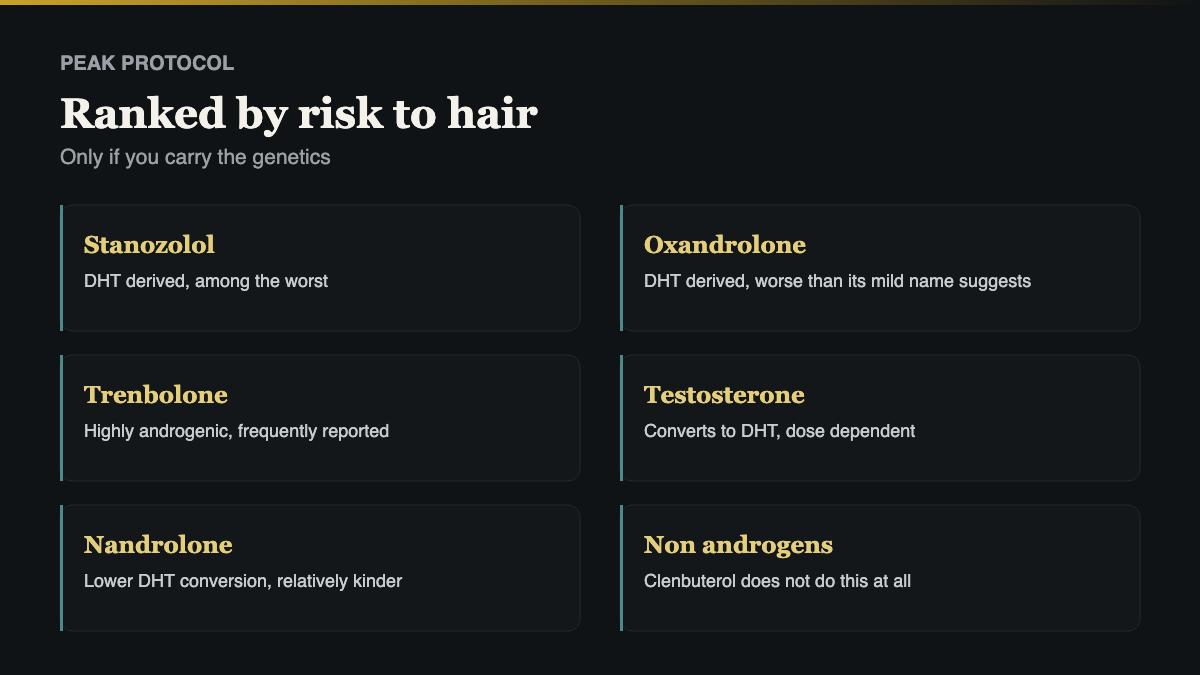 which compounds are worst for steroids and hair loss, ranked by androgenicity