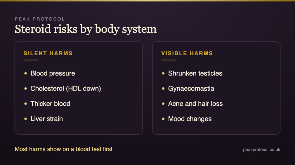 Anabolic steroid risks by body system including heart, blood, liver, hormones, fertility, skin and mental health