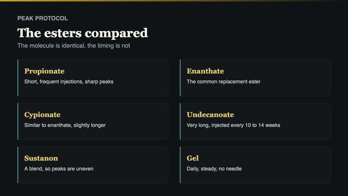 the testosterone UK esters compared, half life and what that means in practice