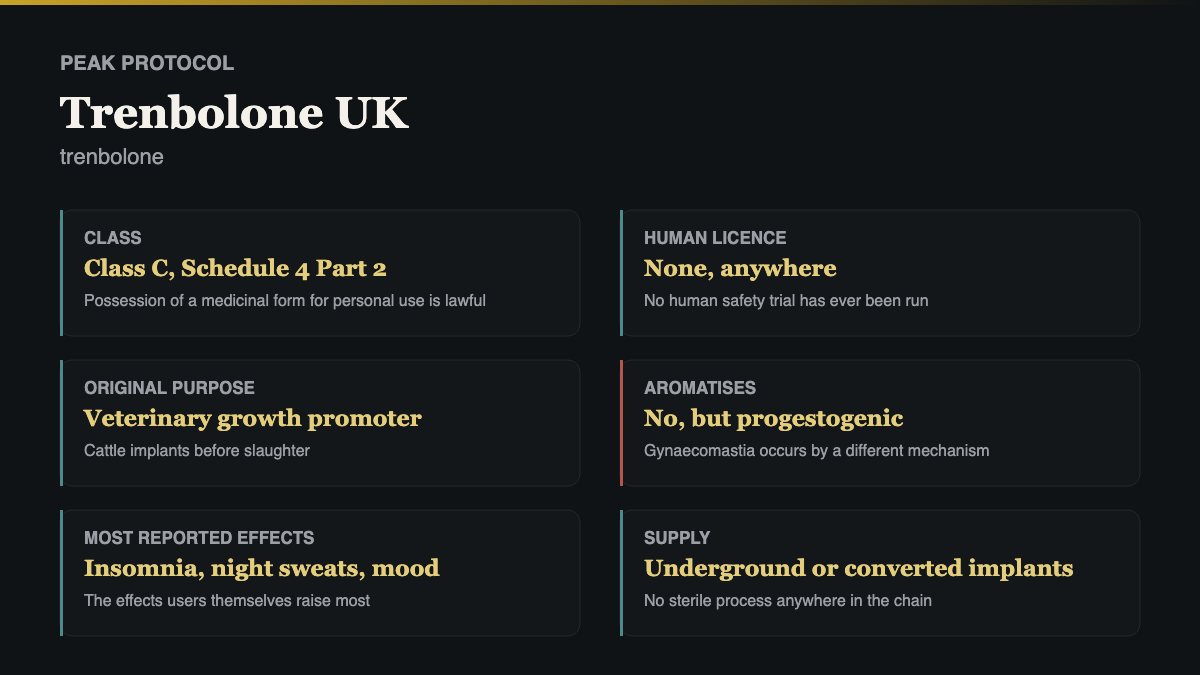 Trenbolone UK profile card showing drug class, route, whether it aromatises and the main measurable harm